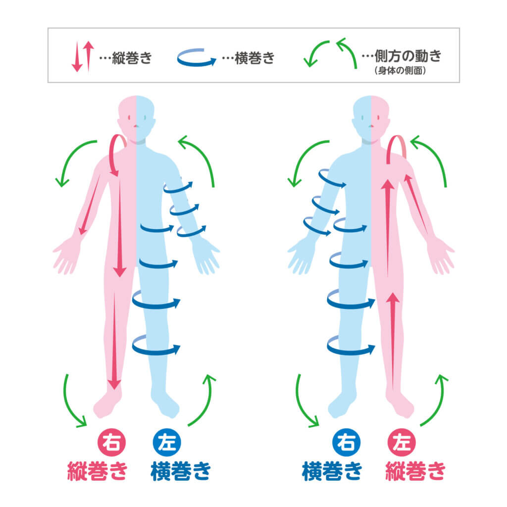 縦巻き横巻きの法則について | 諸井接骨院・整体院